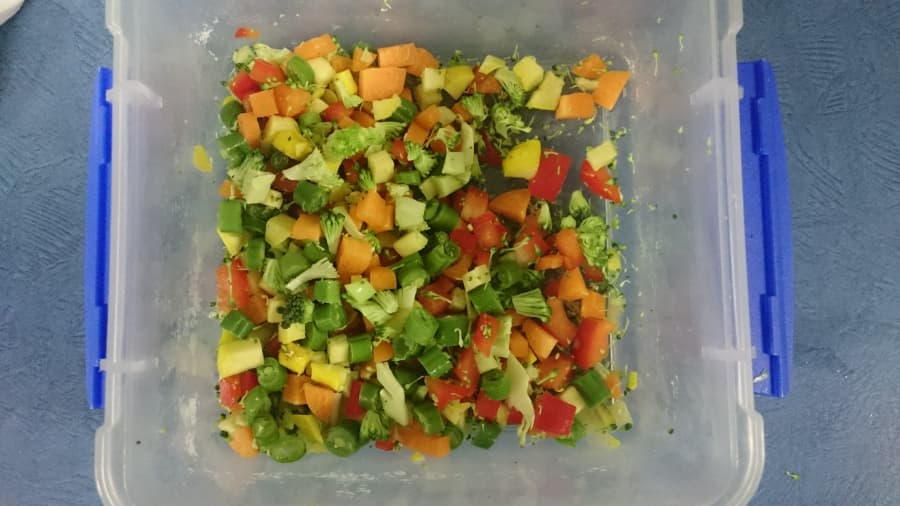 2026-01-31-Ukázka krmení pro agamy vousaté (klinika v Austrálii).JPG